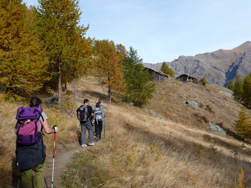 Cogne (Aosta). Baite di Les Ors