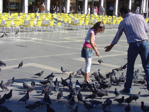Nutrire piccioni in piazza San Marco