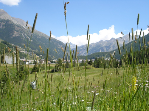 Il paese visto attraverso gli steli